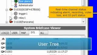 Customizable User Tree