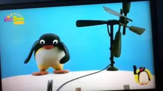 Pingu  1