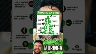 O poder da Moringa