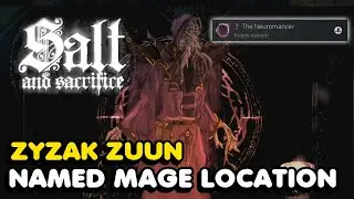 Salt And Sacrifice - The Neuromancer Trophy Guide (Zyzak Zuun Named Mage Location)