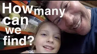 How many can we find?