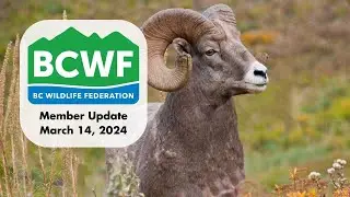 BCWF Updates from Jesse Zeman - Mar 14, 2024