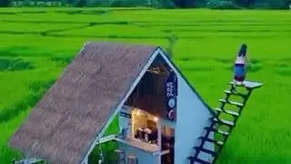 Rumah di tengah sawah