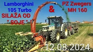 Silaža od SOJE!!! SILIRANjE SOJE 2024 Lamborghini 105 Turbo & PZ Zweegers MH 160 Silage of Soybeans