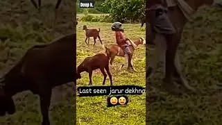 comedy 🤣🤣 video #short video 🥰// @Deep konwar