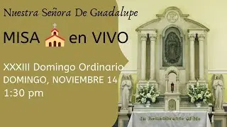 Misa En Vivo - XXXIII Domingo Ordinario