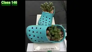BCSS National Show 2022 - Slideshow 17 (classes 142 - 147)