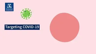 The science behind the search for a COVID-19 vaccine: How do you create a COVID-19 vaccine?