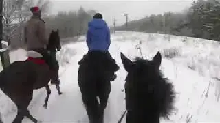 Быстрая Прогулка