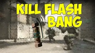 Убил Flash`кой в CS:GO