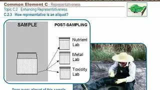 SWAMP FIELD METHODS COMMON ELEMENT C - REPRESENTATIVENESS