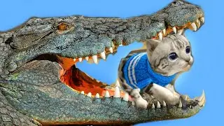 СИМУЛЯТОР КОТЕНКА #10 ЭПИЧНОЕ СРАЖЕНИЕ С БОССАМИ | КУПИЛ СКИНЫ ПАНДЫ мультфильм детский летсплей