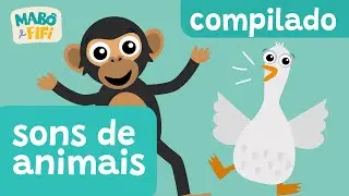 SONS DE ANIMAIS | vídeo infantil educativo |SÉRIE ACHOU!