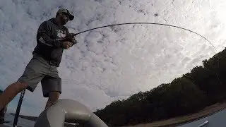Lifetime Co Angler Or Lifetime Mooch - When To Go Boater