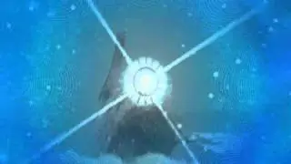 Whales, Dolphins and Chakras  meditation