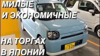 КЕЙ КАРЫ НА АУКЦИОНЕ В ЯПОНИИ