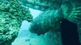 Pompano Beach Diving trip