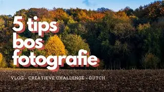 5 TIPS voor BOS-fotografie -landschapsfotografie & bosfotografie in praktijk in Kluisbos&Livierenbos