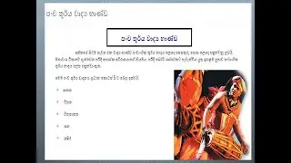 පංච තූර්ය වාද්‍ය භාණ්ඩ
