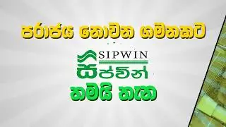 පරාජය නොවන ගමනකට සිප්වින් තමයි තැන..