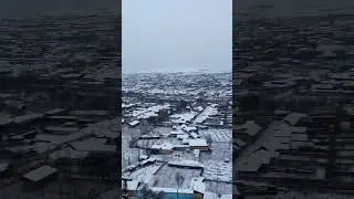 Tiriklik - buyuklik