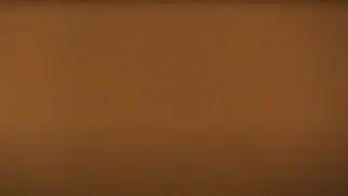 Sepia Film Noise Overlay - 1 Hour - 100% Free Stock Footage
