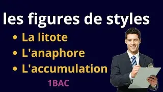 Figures de style : La Litote, l'Anaphore et l'Accumulation Expliquées #education