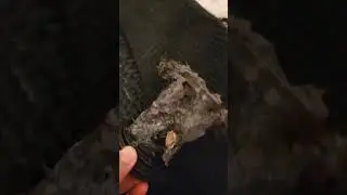 LG Front Loader OE error Fix! Cleaning the drain filter only! #lg #shorts