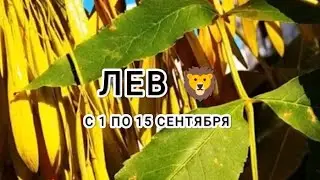 ЛЕВ 🦁 таро прогноз с 1 по 15 сентября &LEO tarot forecast from September 1 to September 15