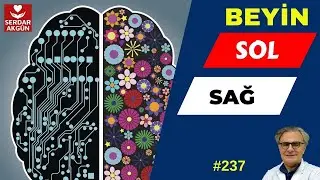 237. Sol beyin mi? Sağ beyin mi?, Test, Beynimizin hangi tarafını kullanıyoruz?