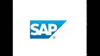 Basic SAP Terms Part 2 - Master Data