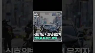 신호위반 사고 낸 운전자에게 건보료 환수는 적법 #shorts