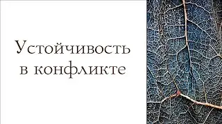 Устойчивость в конфликте