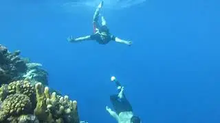 Nyebur #olele #snorkeling