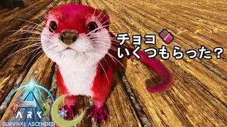 #12【ASA】バレンタインイベントは釣りイベですか？カワウソ㊙小技テイム！【PC版公式PVE：ARK: Survival Ascended】