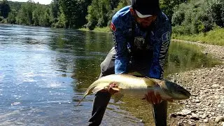 Imposible Parar Estas Bestias , Pescando Y Cocinando