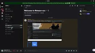 BEAST DISCORD SERVER STEAM AND NETFLIX AND ROLBOX AND MORE
