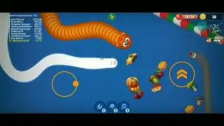 WORMZONE big size - wormzone besar cacing alaska - MAKAN TERUS