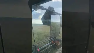 #2024 #сезон #farming #agriculture #farm #сельскоехозяйство #лен #макдон #macdon