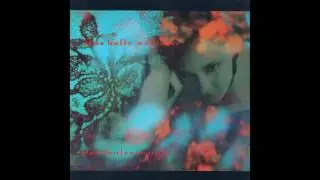 Jane Kelly Williams - I'm Leaving for You