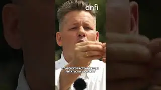 НЕ КОПАЙТЕ ДЕРЕВЬЯ В ЛЕСУ!