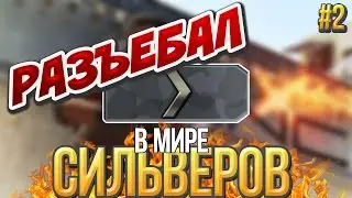 Разъебал Бомжей! - В мире Сильверов