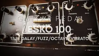 ESKO-100 USSR Soviet Russian Tape Delay Multieffect Echo Processor Reverberator