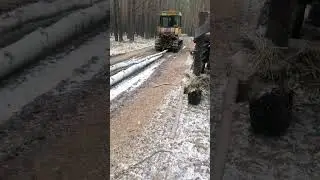 dt 75 hauls firewood