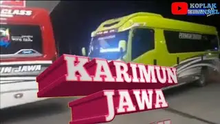 PKJ (pesona karimun jawa tour&travel) isuzu GIGA microbus new NLR 55 blx hartono putra