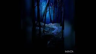 Синий Лес эдит(Blue Forest edit)