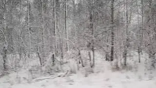 Первый снег