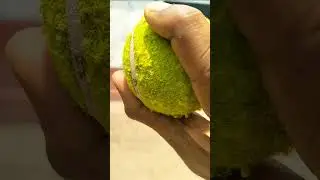 Leg cutter Bowling grip tutorial for beginners 🏏.#cricket #sports #viratkohli #cutter