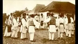 Nicolae Sulac - Foaie verde trei lalele