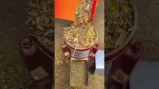 صناعة العلف لتسمين الخروف